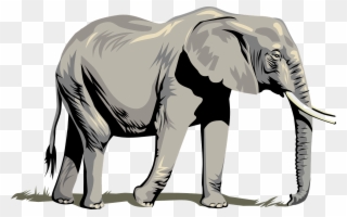 Stunning Idea Elephant Clipart Clip Art Outline Free - Clipart Elephant Png Transparent Png