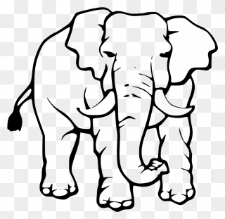 Elephant Clipart Black And White - Elefante Africano Para Colorear - Png Download
