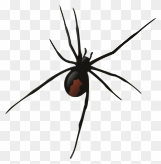 Female Redback Spider - Redback Spider Silhouette Png Clipart