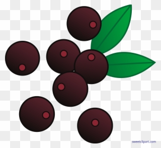 Clipart Free Library Berries Acai Clip Art - Blueberries Clipart - Png Download