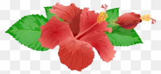 Red Flower Png Clip Art Image - Hibiscus Flower Png Transparent