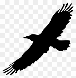 Raven - Flying - Black Flying Bird Png Clipart