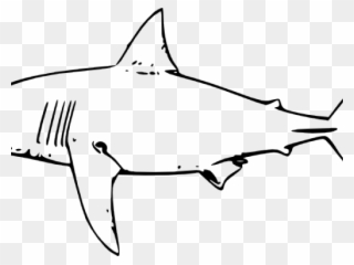 Bull Shark Clipart Cool - Shark Clip Art - Png Download