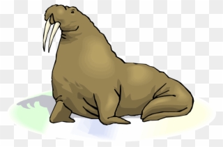 Walrus - Clipart - - Walrus With Transparent Background - Png Download