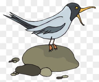 2 Beaches, 4 Walks, 1 Post - Screech Clipart - Png Download
