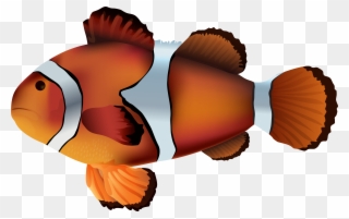 Clownfish Clipart - Png Download