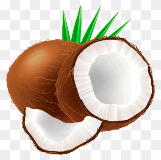 Coconut Clipart - Coconut Fruit Clipart - Png Download