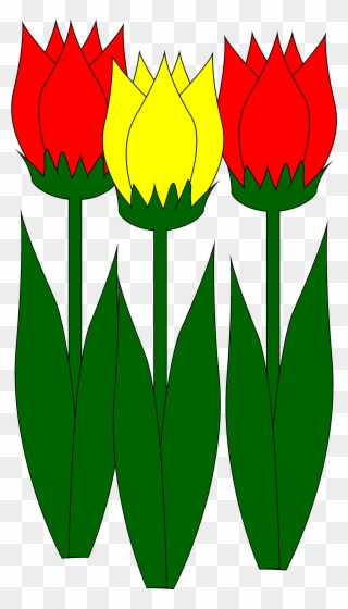 Zum Clipart Tulpe Rot Und Gelb Als Bild Kostenlos - Blume Clipart Png Transparent Png