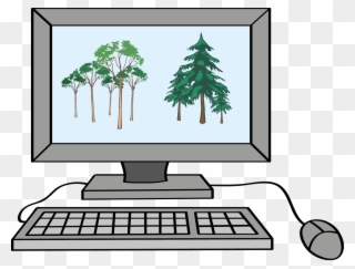 Ein Computer Mit Bildern Auf Dem Monitor - Modern Green Tree 29 Shower Curtain Clipart