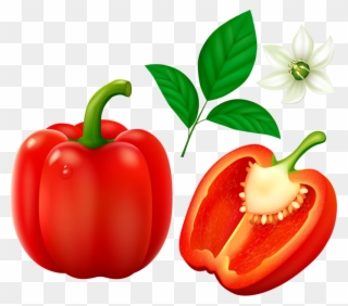 Red Pepper Fruits And Vegetables Pictures, Fruits And - Diced Red Pepper Clipart Png Transparent Png