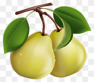 Фотки Fruit Illustration, Fruit Vector, Photoshop World, - Free Clip Art Pears - Png Download