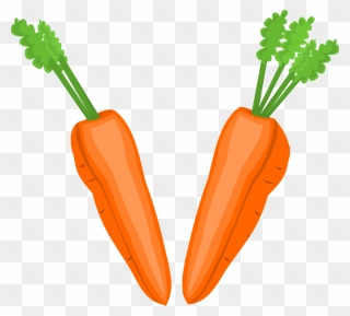 Carrot - Clipart Of Different Vegetables - Png Download