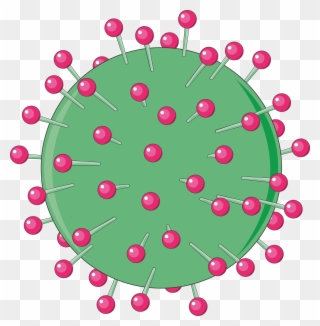 Download The Image Download The Entire Set - Hepatitis A Virus Png Clipart