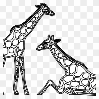 Giraffe Clipart Black And White Giraffe Clipart Black - Giraffe Black And White Drawing - Png Download