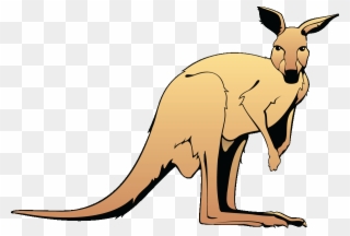 Jumping Kangaroo Clipart - Kangaroo Clipart - Png Download