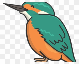 Kingsfisher Clipart British Bird - Cartoon Kingfisher - Png Download