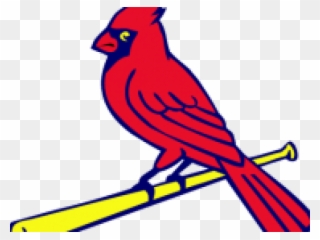 Free Cardinal Clipart - Cardinals Mlb - Png Download
