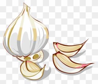 Big Image - Garlic Clip Art - Png Download