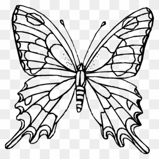 Ausmalbilder Schmetterling Zum Ausdrucken - Mandala Coloring Pages Butterfly Clipart