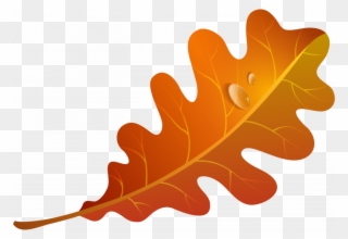 Clip Art Orange Leaf - Png Download