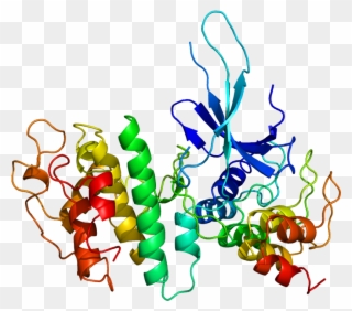 Cyclin Dependent Kinase Structure Clipart