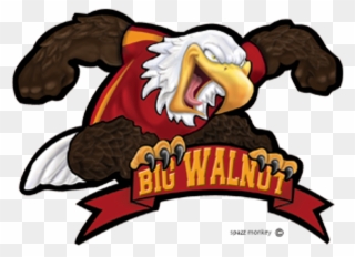 Big Walnut Eagles Clipart