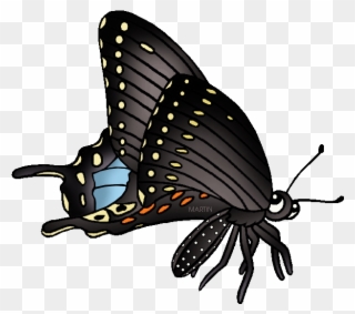 State Butterfly Of Oklahoma - Black Swallowtail Butterfly Clipart - Png Download