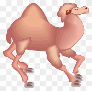 Running Camel - Kamel Comic Clipart