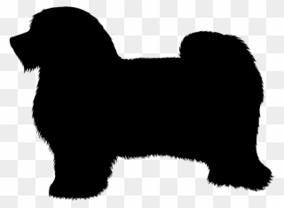 Thus, When Someone Had Trended It, Slowly And Steadily - Havanese Silhouette Clipart