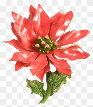 Christmas Poinsettia Flower Pin Vintage 1960s Enameled - Discounts And Allowances Clipart