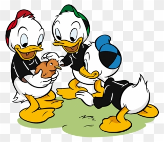 Tick Trick Und Steckbrief Micky Maus De - Donald Duck Universe Clipart