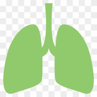 Respiratory/lung Issues - Lung Clipart