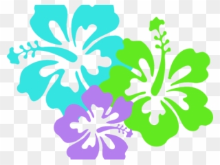 Hibiscus Flower Border Clipart - Png Download