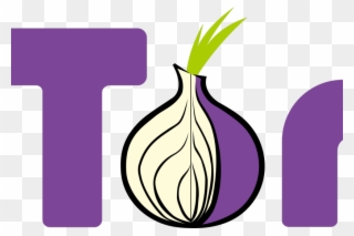 Zerodium Is Offering $1 Million For Tor Browser Exploits - Onion Torrent Clipart