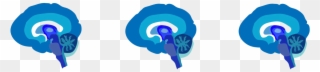 Columbia University Neuroscience Outreach - Late Night Science Clipart