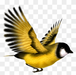 Tubes Oiseaux Papillons - Flying Goldfinch Clipart