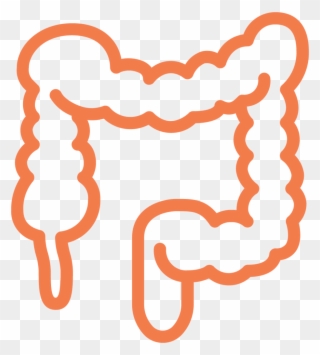 Colon Ecm Cell Culture Substrates - Crohn's Disease Clipart