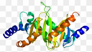 Recombinant Proteins Clipart