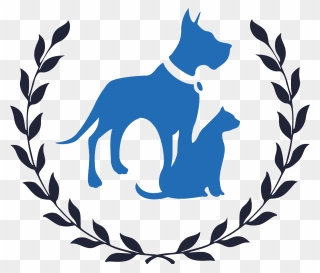 boston's best dog walkers