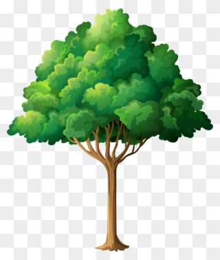 Tree Branch Clip Art - Moslem Family Tree - Png Download