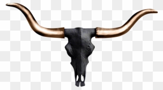 Longhorn Skull Clipart