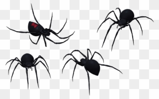 Spider Clipart Tribal - Black Widow Spider Art - Png Download