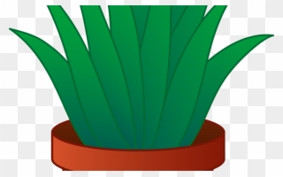 Plants Clip Art Free Clipart Library Free Clipart Images - Aloe Vera Plant Clipart - Png Download