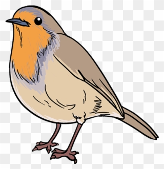 How To Draw Robin - Draw A Robin Bird Clipart