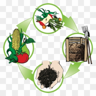 On March 6, At Garden Club We Will Be Learning About - Compost Cycle Clipart