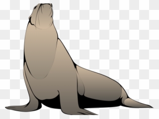 Seal Clipart Realistic - Free Seal Animal Vector - Png Download