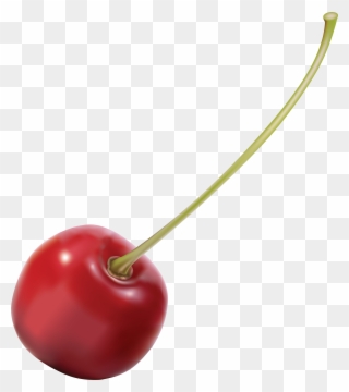 Cherries Clipart Stem - Cherry Png Transparent Png - Full Size Clipart ...