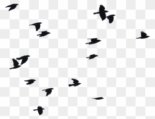 Birds In Flight Silhouette At Getdrawings Com - Birds Flying Silhouette Png Clipart