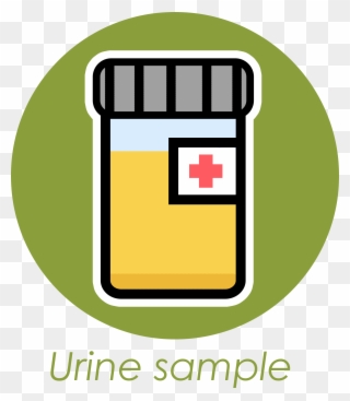 Urine Sample Clip Art - Png Download