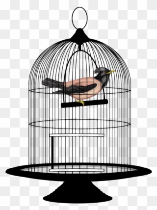 This Png File Is About Wires , Clipart , Cage , Mesh - Bird In A Cage Png Transparent Png